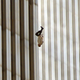 Imagen para el artículo titulado The Falling Man: la historia detrás de la foto más extraña de los atentados del 11 de septiembre
